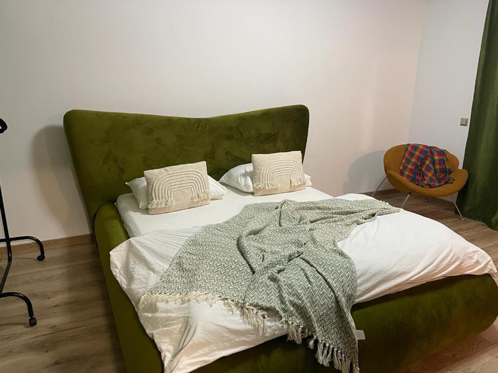 Magic Green Studio Hunedoara Apartman Kültér fotó