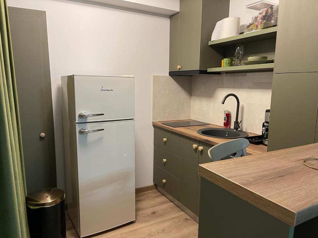 Magic Green Studio Hunedoara Apartman Kültér fotó