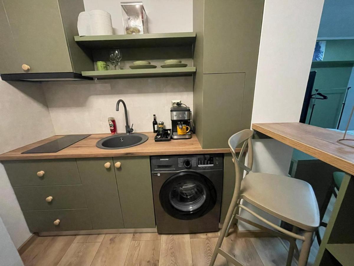 Magic Green Studio Hunedoara Apartman Kültér fotó